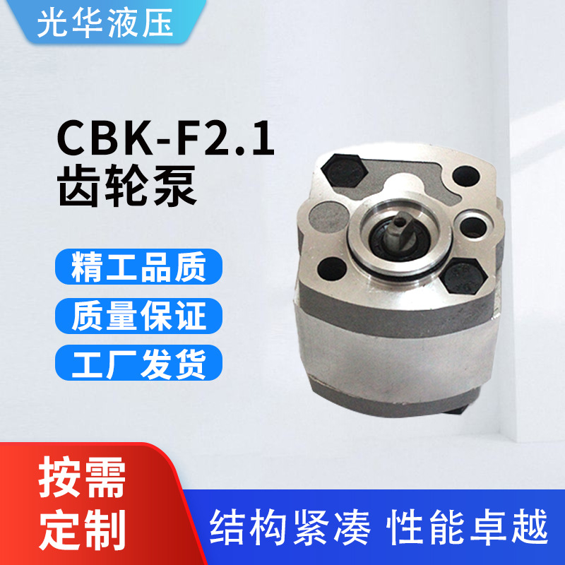 微型齿轮泵 CBK-F2.1